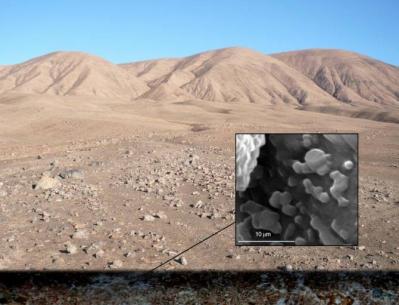 Descubren un oasis microbiano bajo el desierto de Atacama